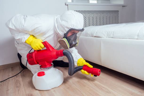 Best Pest Exclusion Services  in Vero Beach South, FL